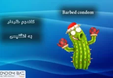 Barbed-condom-in-English